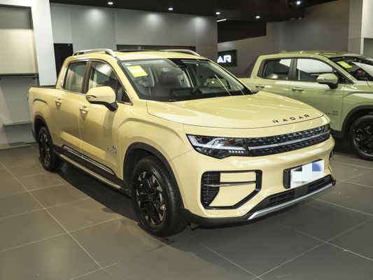 Geely RD6 Pickup elettrico puro 4 porte 5 sedili Struttura del corpo Sistema ABS incluso