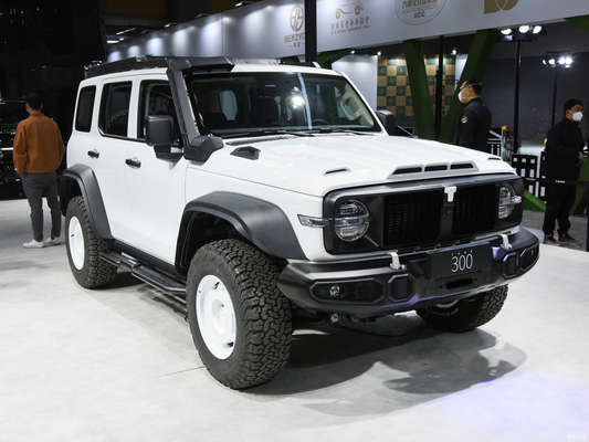 2023 GWM Off-road Tank 300 SUV Auto 2.0T Carburante a benzina 4WD Equipaggiato con fari a LED
