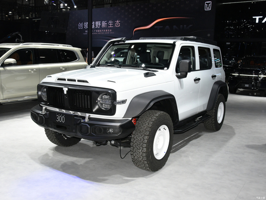 2023 GWM Off-road Tank 300 SUV Auto 2.0T Carburante a benzina 4WD Equipaggiato con fari a LED