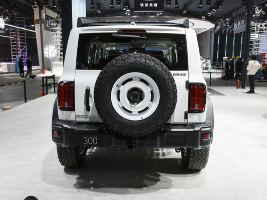 2023 GWM Off-road Tank 300 SUV Auto 2.0T Carburante a benzina 4WD Equipaggiato con fari a LED