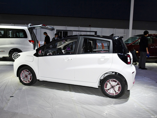 JAC Sehol E10X Flower Fairy Mini Electric Car da Con 1100kg di peso limite per adulti