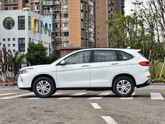 HAVAL M6 1.5T SUV Finestra anteriore elettrica con sollevamento a una chiave anti-pignetto per il mercato 2023