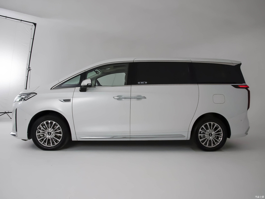 Vivi il meglio dei due mondi con il veicolo elettrico ibrido WEY Gaoshan DHT PHEV