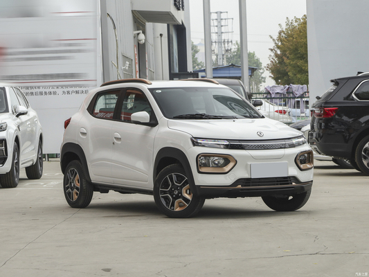 Nammi BoxEV Light Wind Version Modello Standard durata della batteria 201KM Chinese Family Car SUV