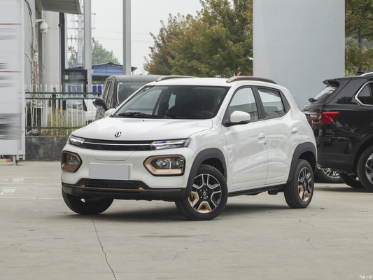 Nammi BoxEV Light Wind Version Modello Standard durata della batteria 201KM Chinese Family Car SUV