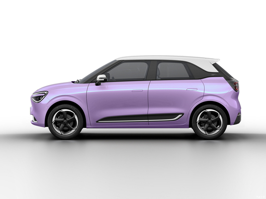Max Smart Energy Vehicle Dongfeng Nami 01 2024 430 con struttura di carrozzeria 4030*1810*1570