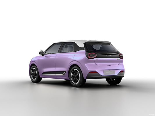 Max Smart Energy Vehicle Dongfeng Nami 01 2024 430 con struttura di carrozzeria 4030*1810*1570