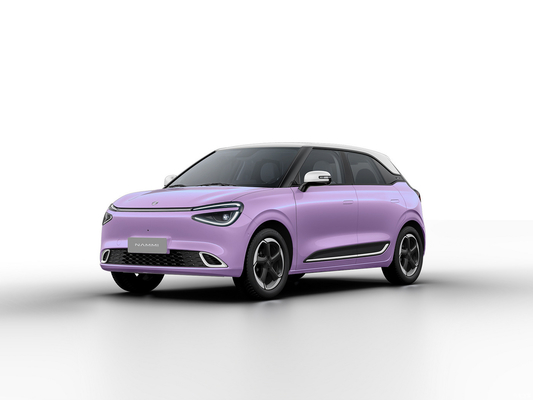 Max Smart Energy Vehicle Dongfeng Nami 01 2024 430 con struttura di carrozzeria 4030*1810*1570