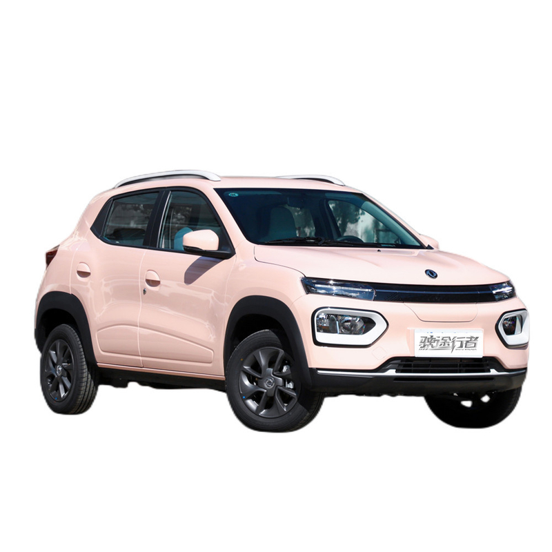 Scopri il futuro della guida con Dongfeng Ex1 Nano Box Mini SUV Electric Car