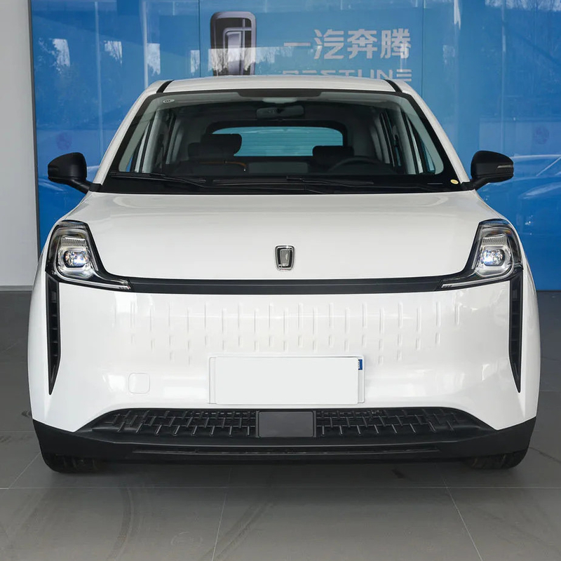 Scatena la potenza di Pentium NAT A 419km Range MPV con 140km / h Max velocità e 4 porte