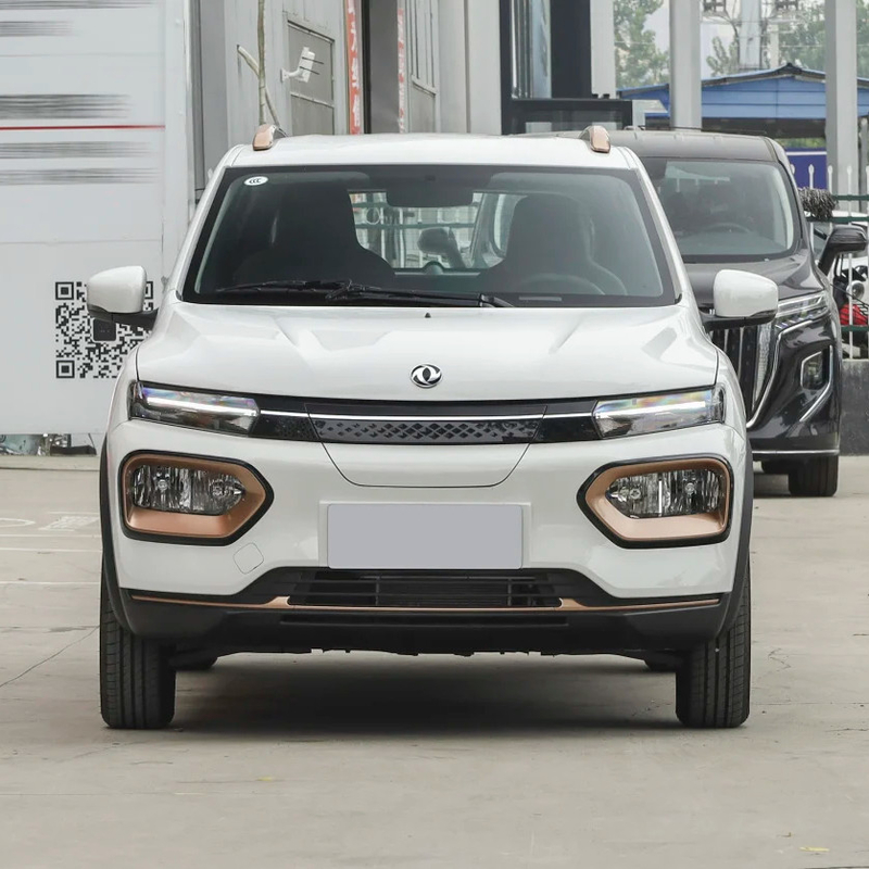 Nammi BoxEV Light Wind Version Modello Standard durata della batteria 201KM Chinese Family Car SUV