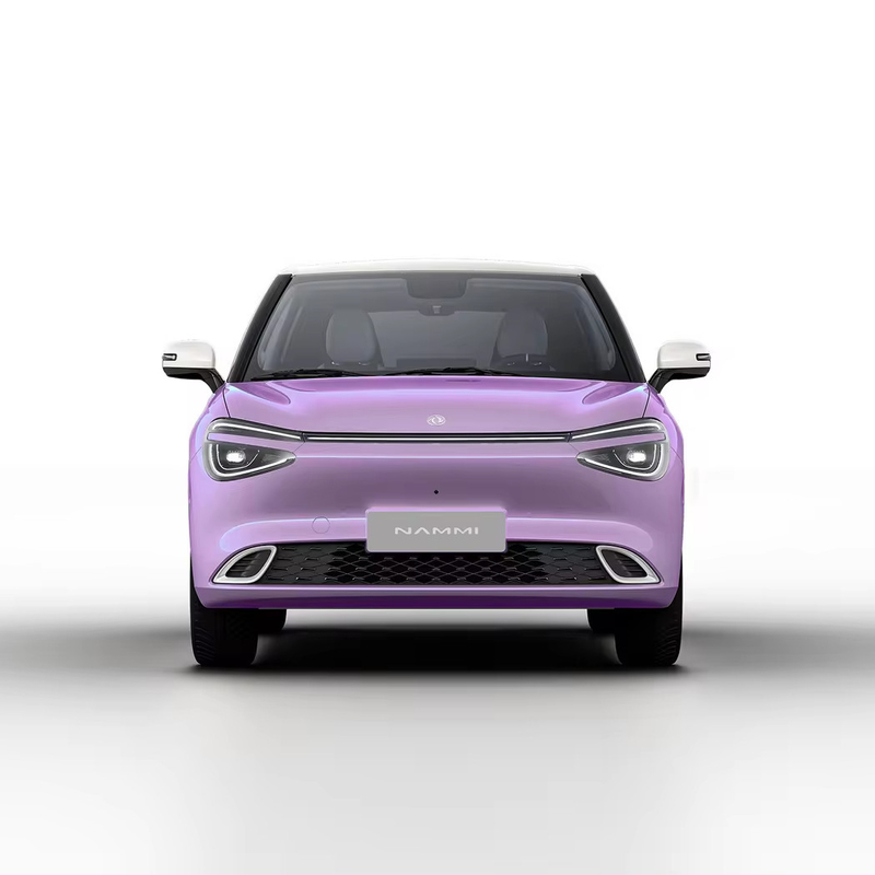 Max Smart Energy Vehicle Dongfeng Nami 01 2024 430 con struttura di carrozzeria 4030*1810*1570